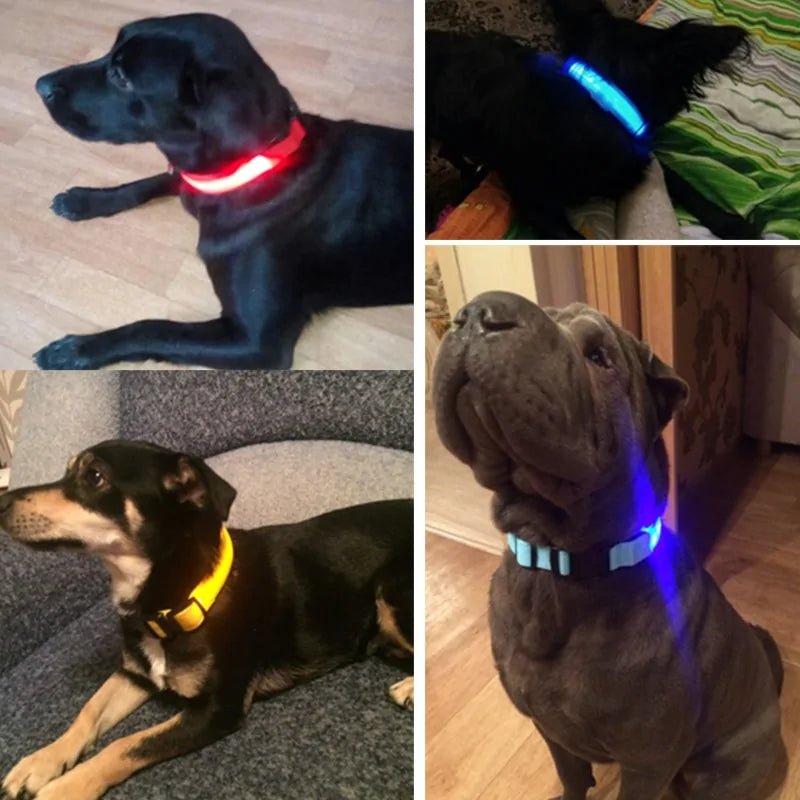 LED Dog Safety Collar – Night Glow