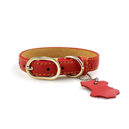 Collar clásico de cuero para perro con etiqueta colgante