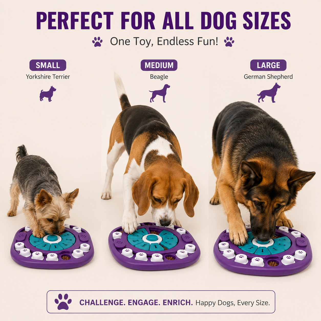 PawPlay Interactive Treat Puzzle