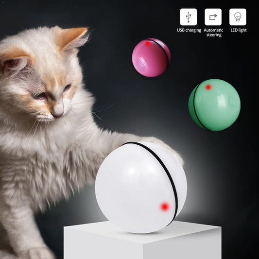 ZoomPlay Smart Motion Toy
