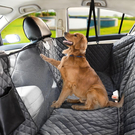ShieldRide Car Protector